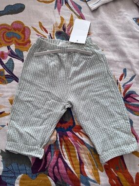 Zara Striped Textured Pants NWT